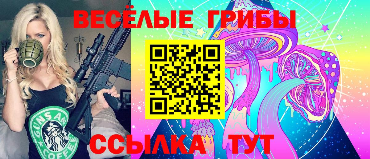 Галлюциногенные грибы прущие грибы Новоалтайск