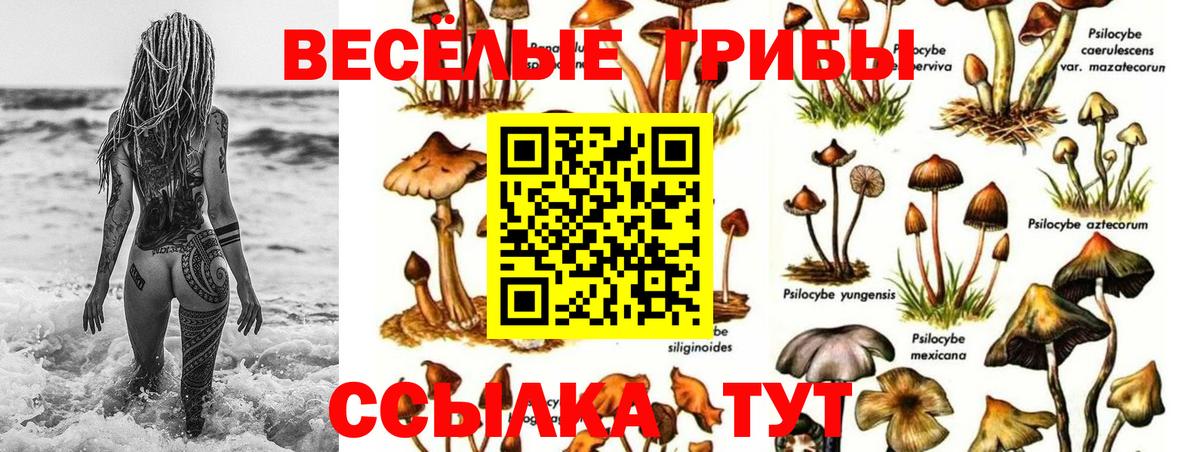 Галлюциногенные грибы MAGIC MUSHROOMS  наркотики  Новоалтайск  Вход с VPN 